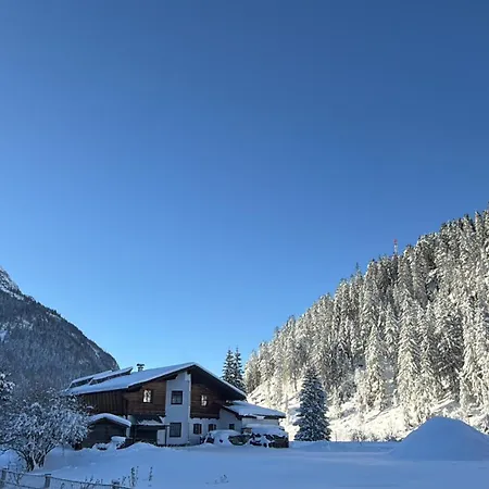 Appartement Traubes Alpenlodge Reuthe